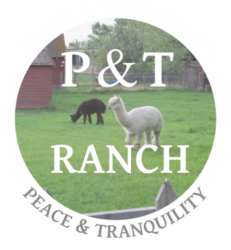 The P and T Ranch logo shows two alpacas on a grassy lawn with farm buildings in the background. Below it says peace and tranquility.